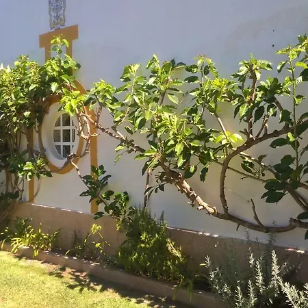Casa Alfanzina Villa Carvoeiro (Lagoa)