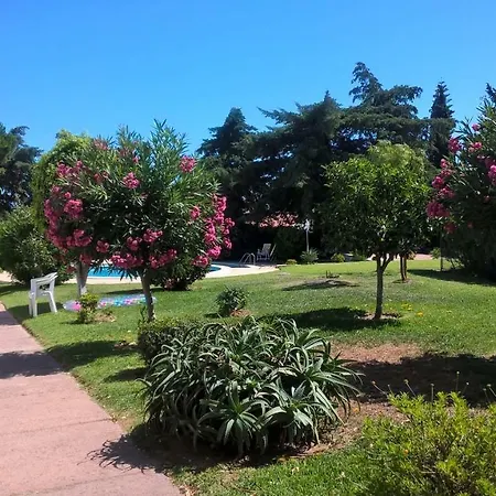 Casa Alfanzina *