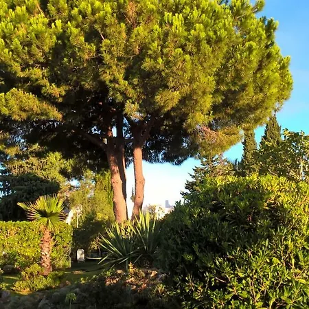 Casa Alfanzina *